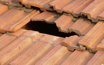roof repair Wilby